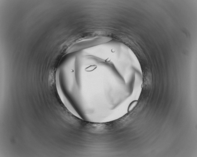 X0000112720478200909101450