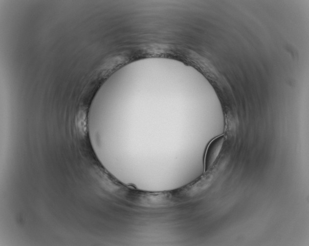 X0000112720479200909101450