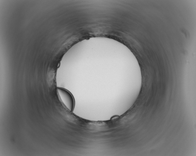 X0000112720480200909101451