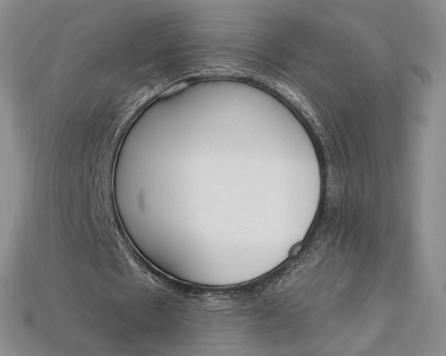 X0000112720481200909101450