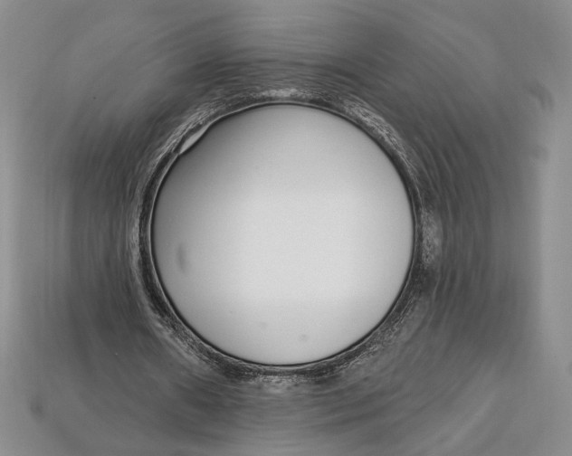 X0000112720482200909101450