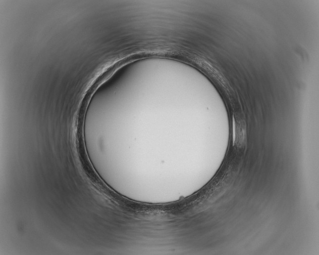 X0000112720483200909101450