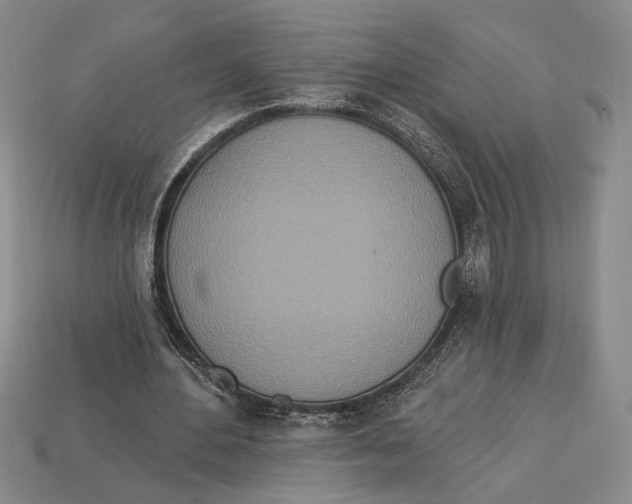 X0000112720484200909101450