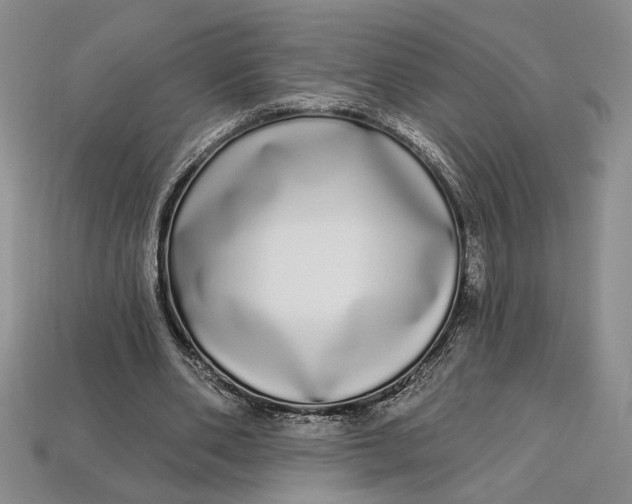 X0000112720486200909101450