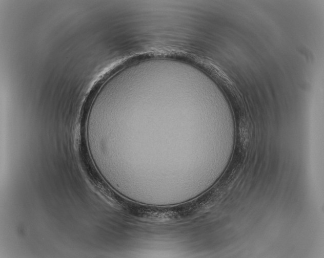 X0000112720488200909101450