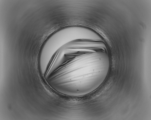 X0000112720489200909101450