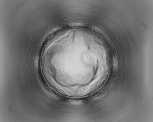 X0000112720491200909101450