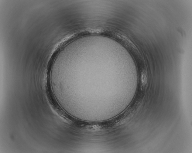 X0000112720492200909101450