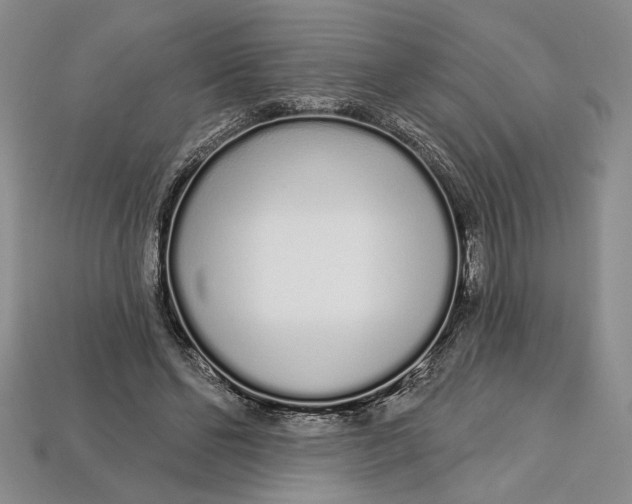 X0000112720494200909101450