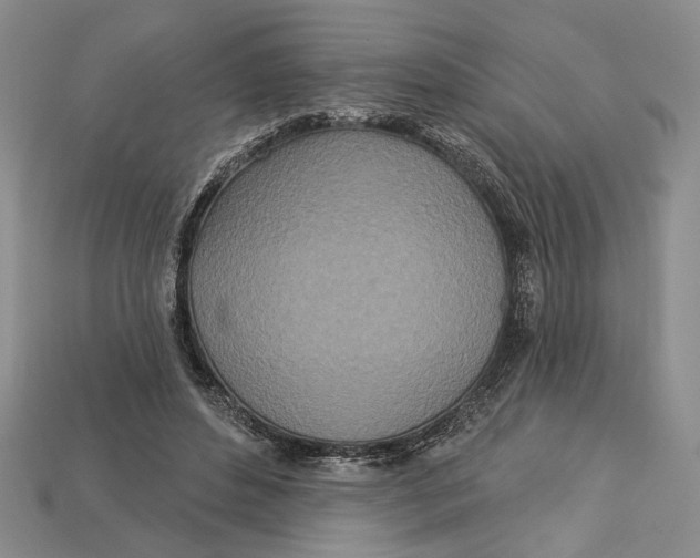 X0000112720496200909101450