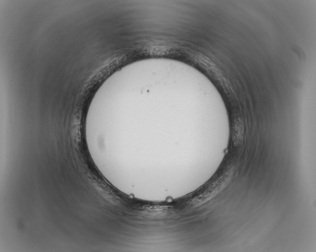 X0000112720497200909101450