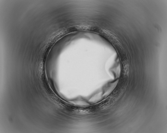 X0000112720498200909101450