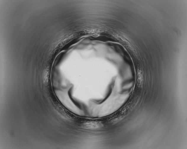 X0000112720499200909101450