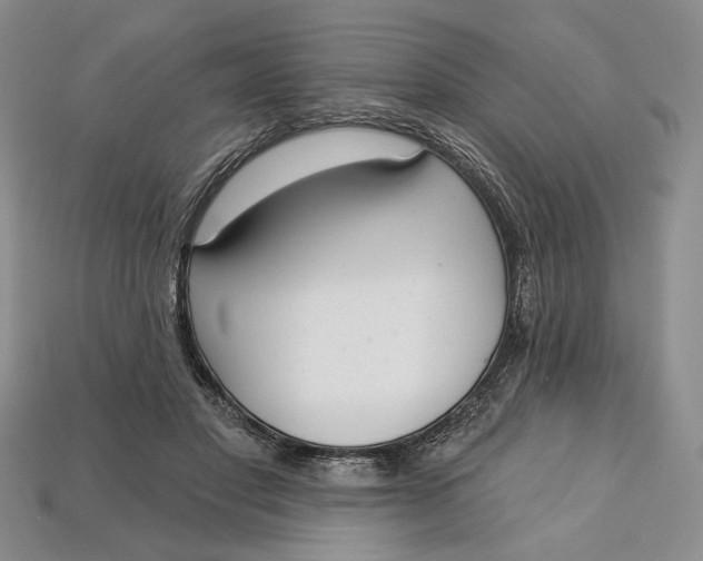 X0000112720501200909101450