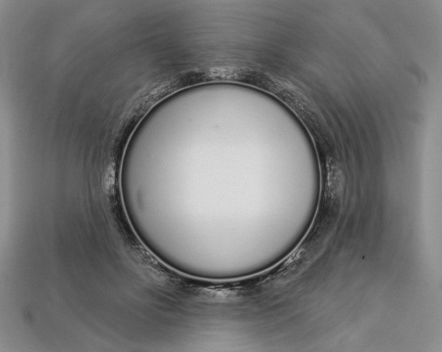 X0000112720502200909101450