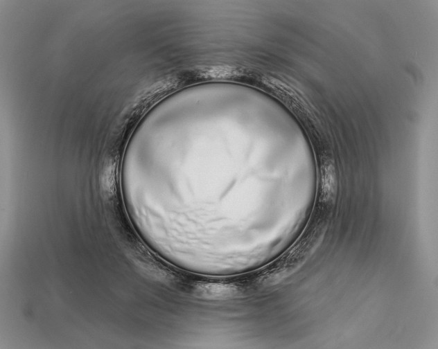 X0000112720503200909101450