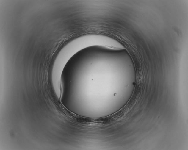 X0000112720504200909101450