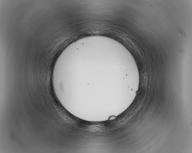 X0000112720505200909101450