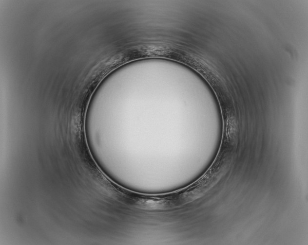 X0000112720506200909101450