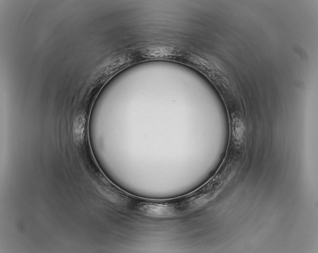 X0000112720507200909101450