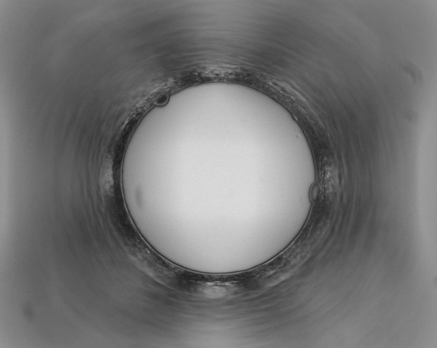 X0000112720508200909101450