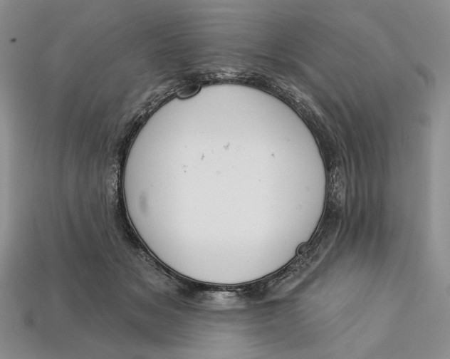 X0000112720509200909101450