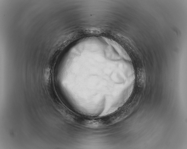 X0000112720511200909101450