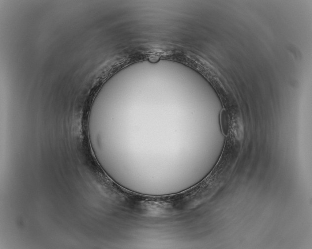 X0000112720512200909101449