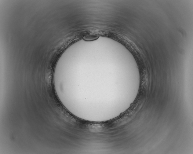 X0000112720513200909101449