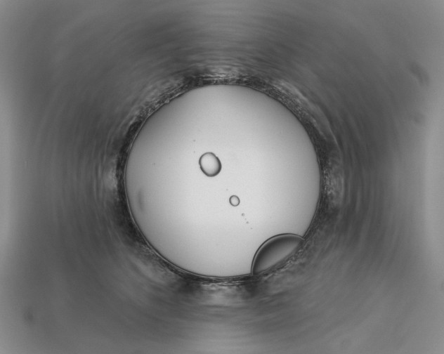 X0000112720516200909101449