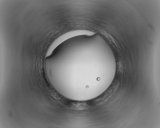 X0000112720517200909101449