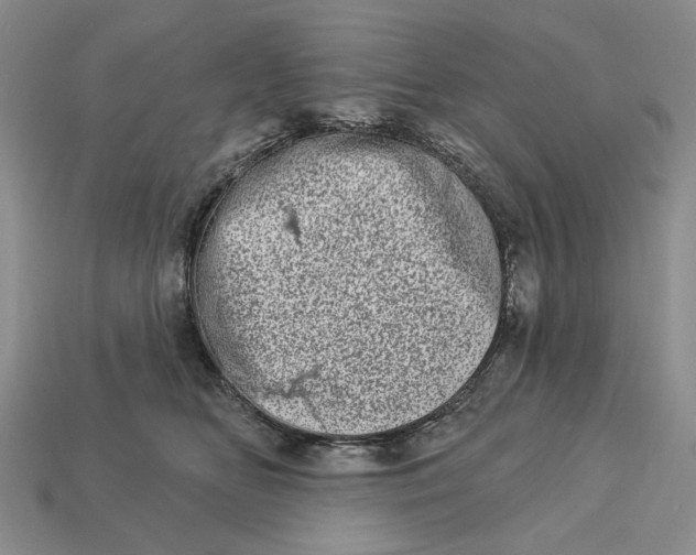 X0000112720518200909101449