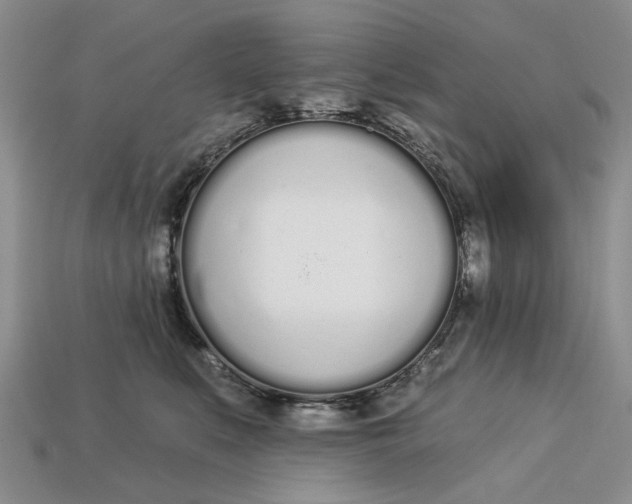 X0000112720519200909101449