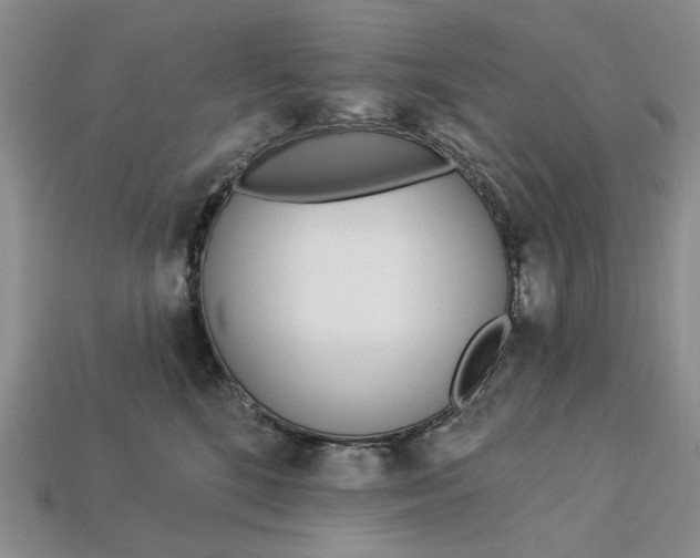 X0000112720520200909101449