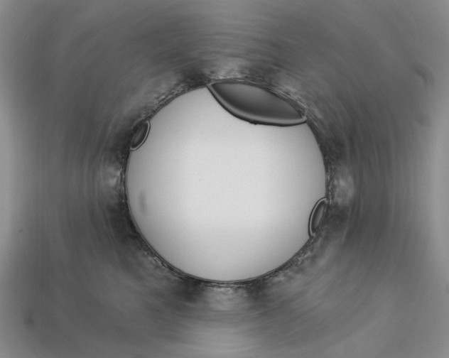 X0000112720521200909101449