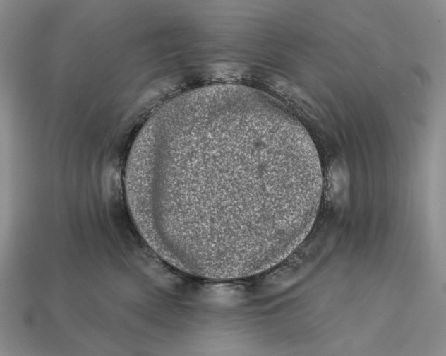 X0000112720522200909101449