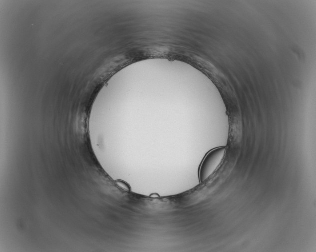 X0000112720525200909101449