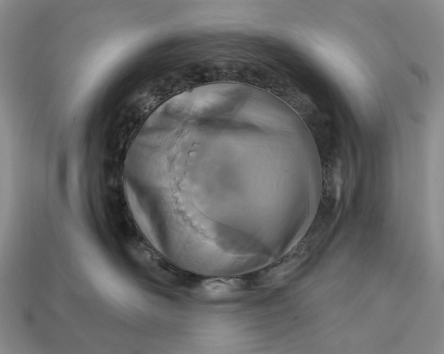 X0000112720526200909101449