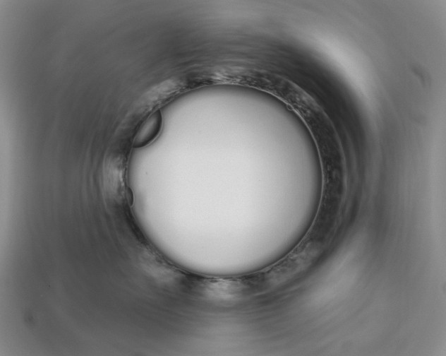 X0000112720527200909101449