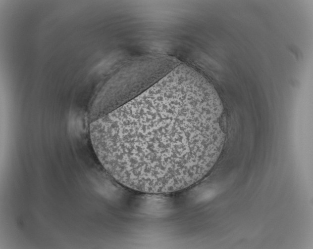 X0000112720528200909101449