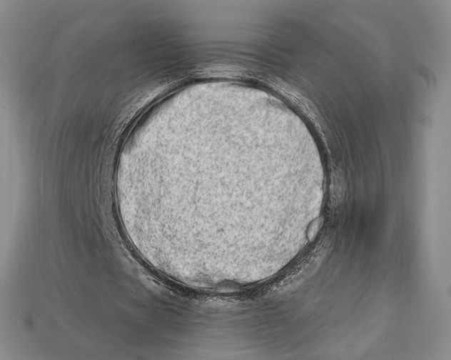 X0000112720529200909101449