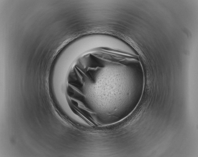 X0000112720530200909101449