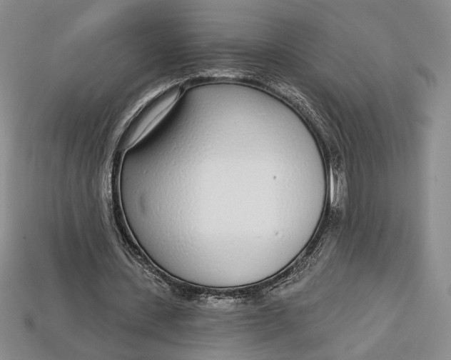 X0000112720531200909101449