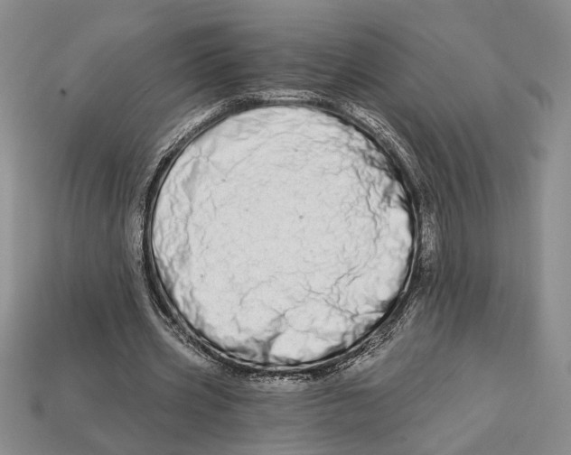 X0000112720533200909101449