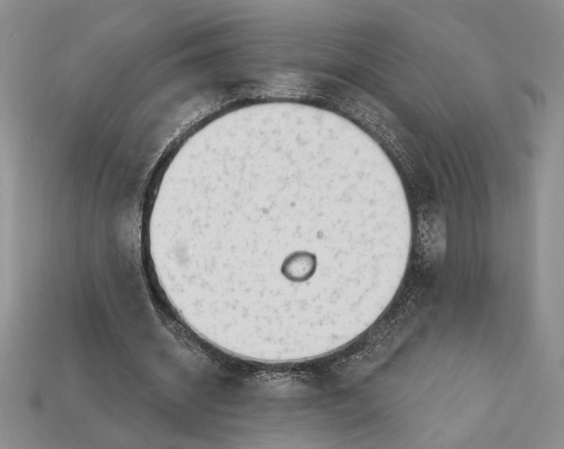 X0000112720534200909101449