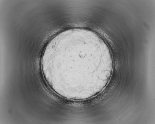 X0000112720537200909101449