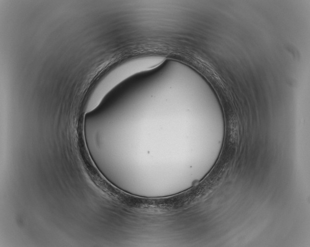 X0000112720538200909101449