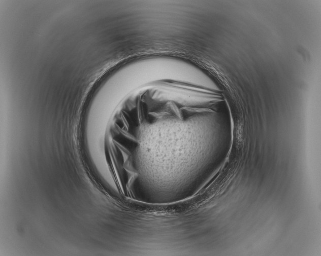 X0000112720540200909101449