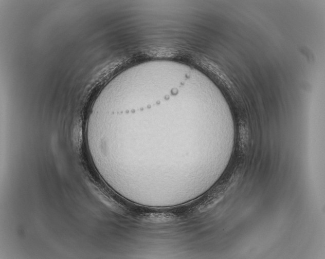 X0000112720541200909101449