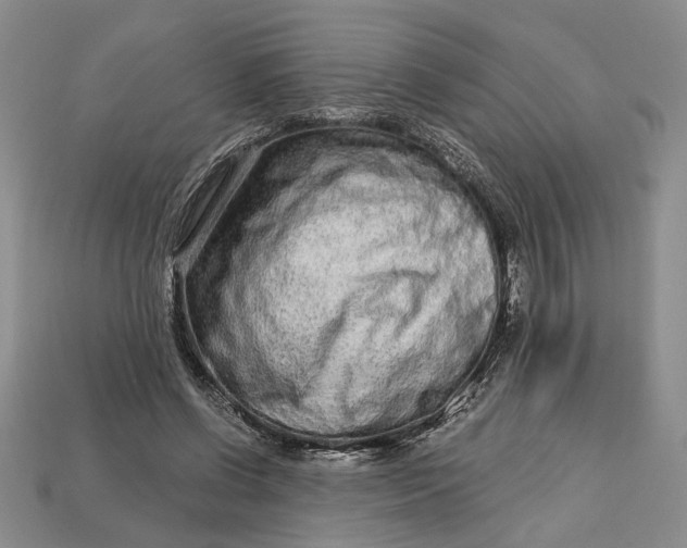 X0000112720542200909101449